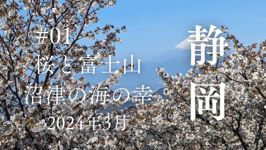 2024年3月春の静岡の旅