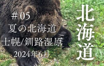 夏の北海道の旅2024年6月