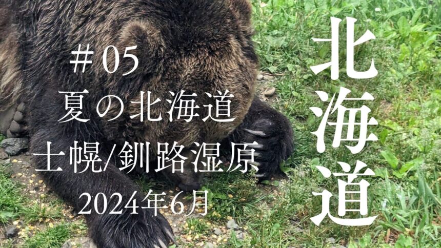 夏の北海道の旅2024年6月