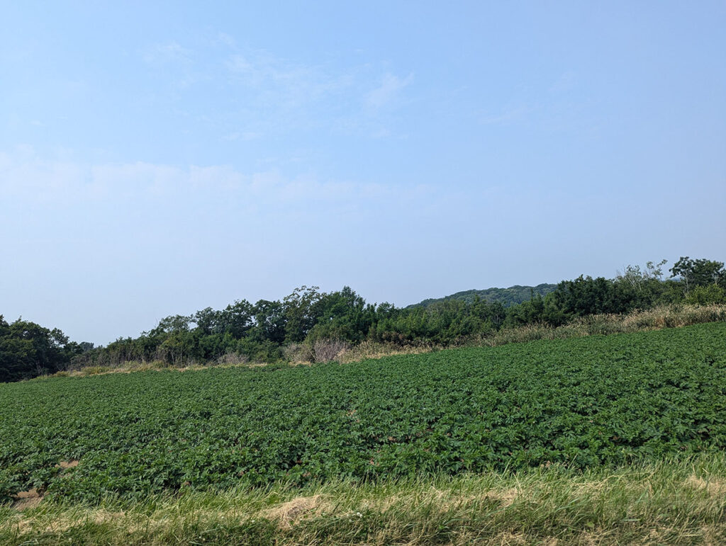 道中で撮影した北海道小清水町の景色