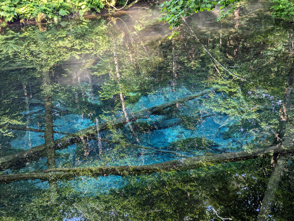 神の子池の神秘的な青い水面