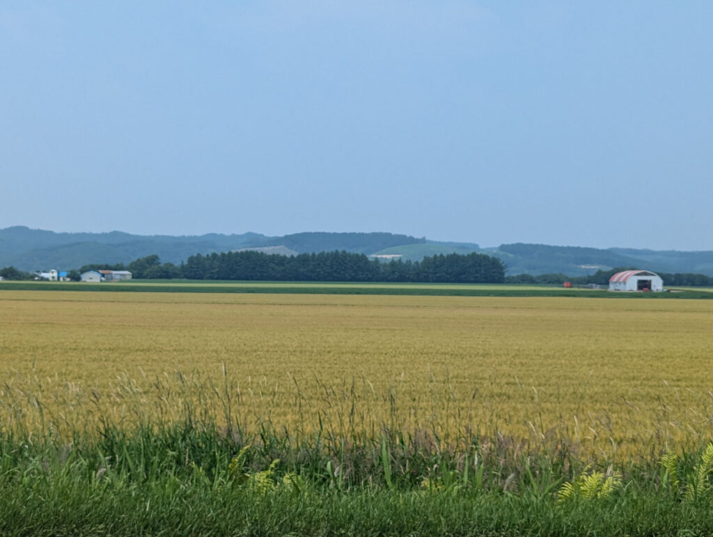 北海道美穂町の田園風景