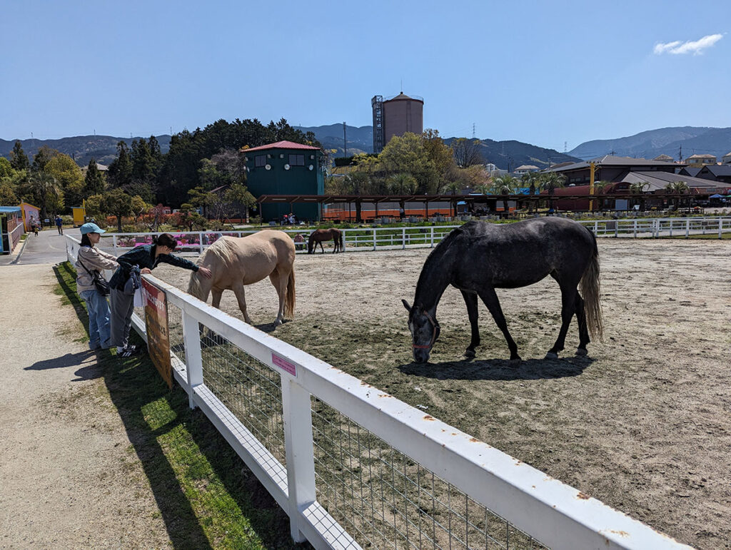 牧場と馬