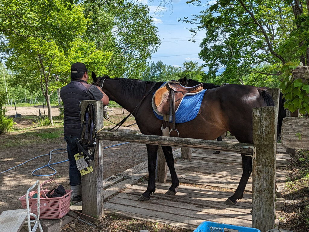 乗馬ハイキングの準備