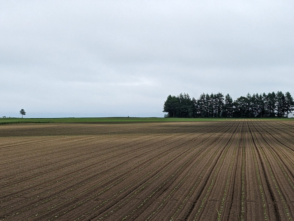 北海道幕別町の田園風景