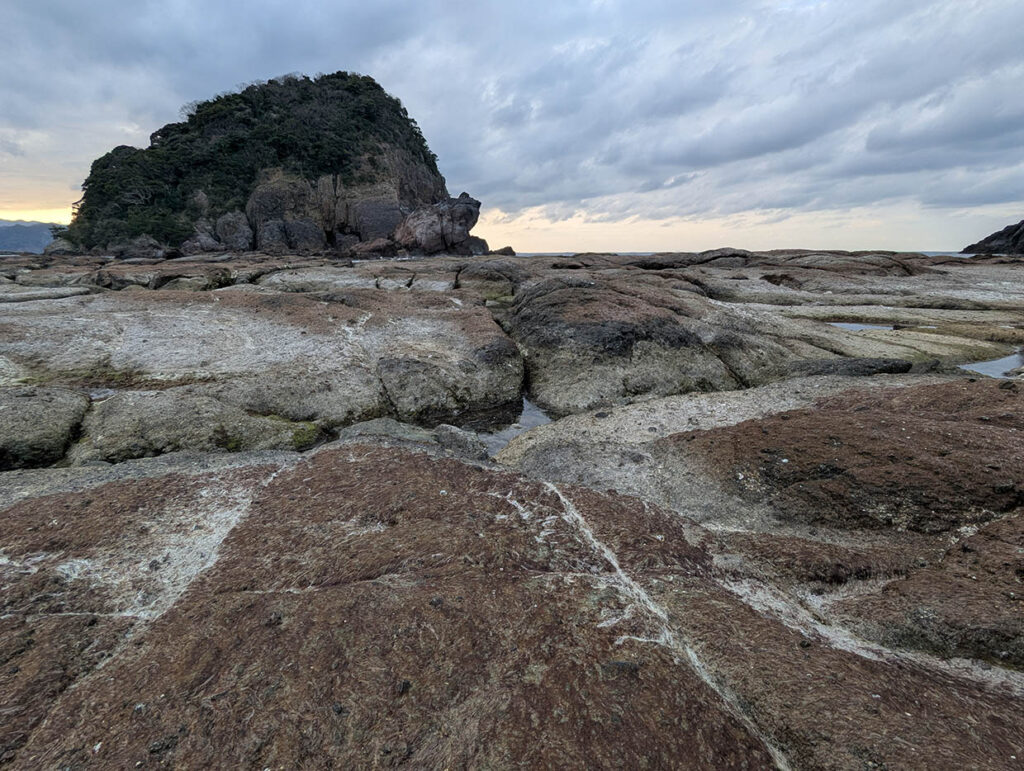 かえる島