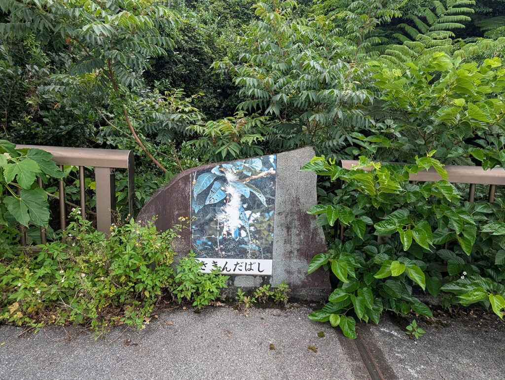 橋