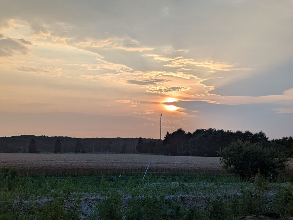 沈みゆく夕日が広がる畑と林の向こうに見える美しい空