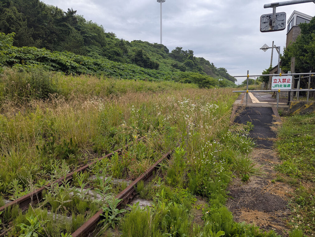 草に覆われた廃線跡の線路と「立入禁止」の標識(旧日高三石駅付近)