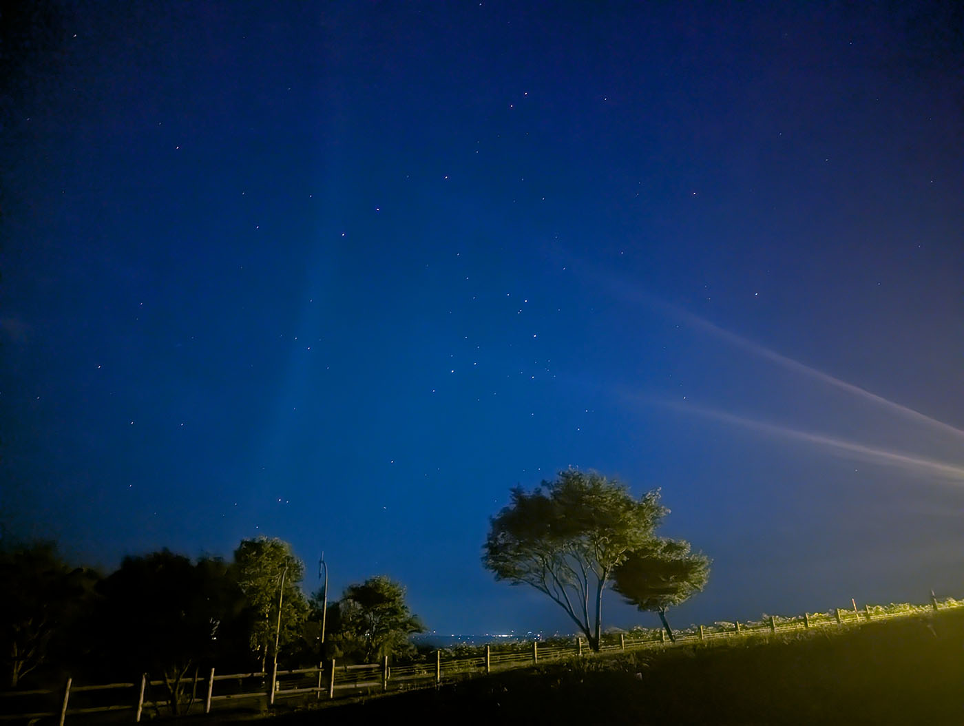 ヌプカの丘で撮影された星空と木々のシルエット。右側には街灯の光が放射状に広がっている。