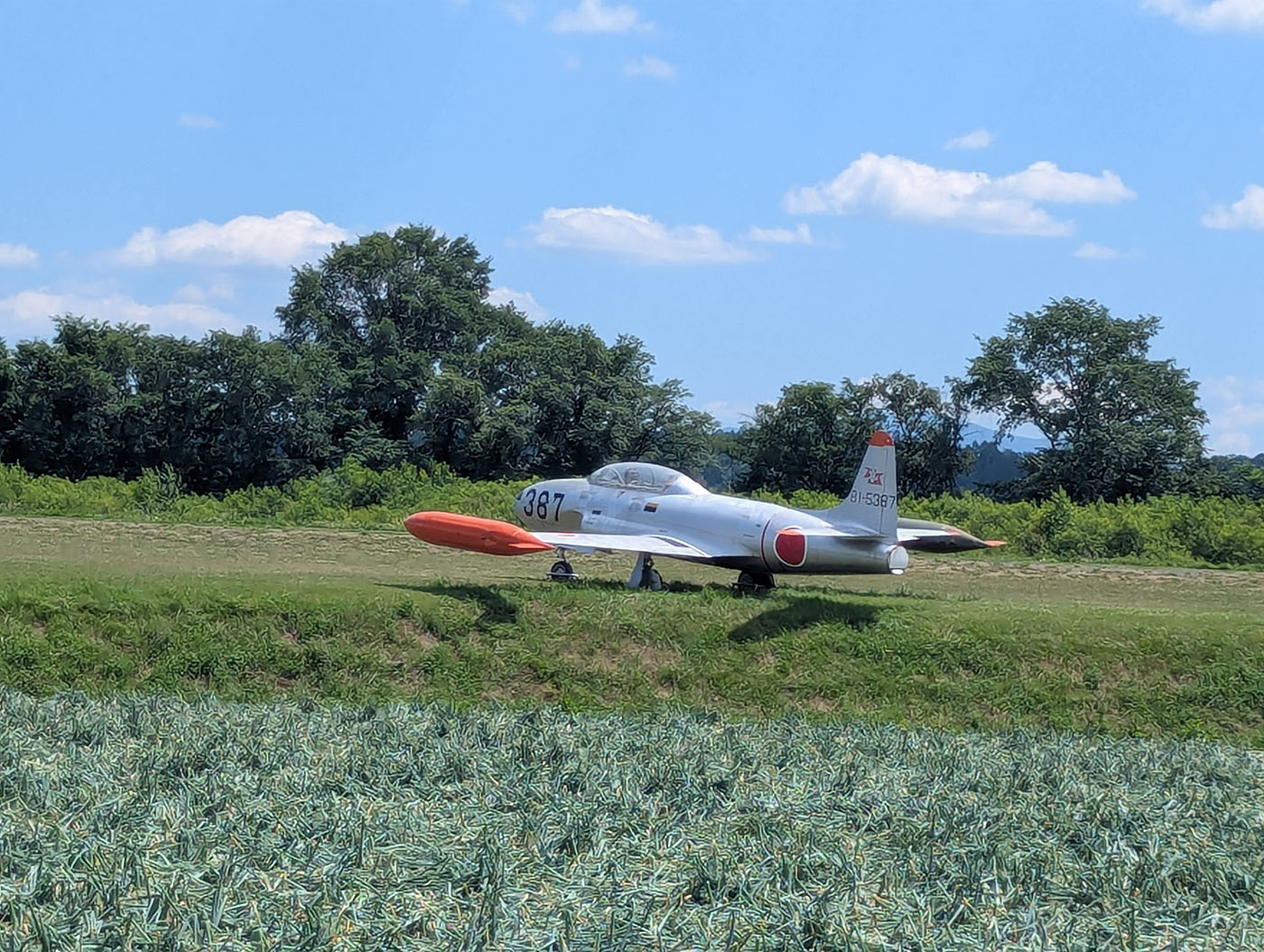 畑の中に置かれた航空自衛隊の退役練習機T-33A、機体番号81-5387が青空の下に静かに佇む