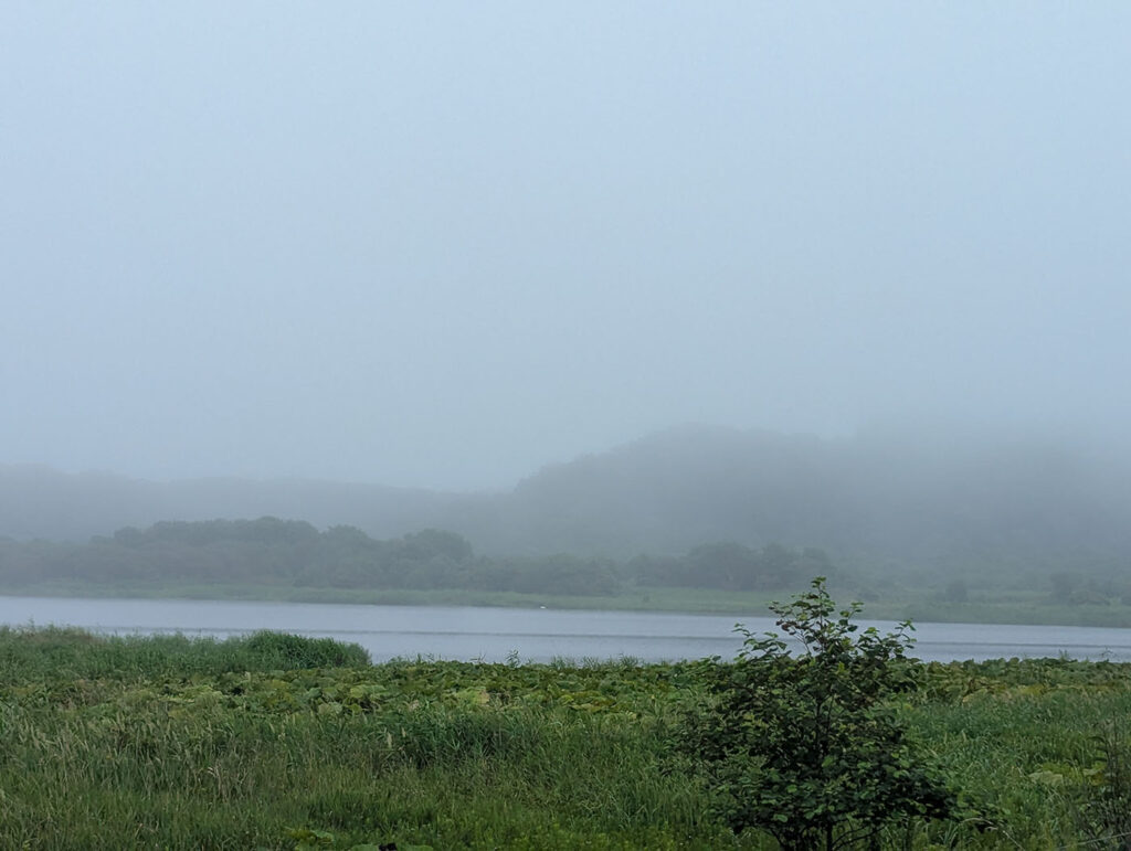霧と湖と山並みが揃っていて、「北海道らしさ」と「幻想的な雰囲気」
