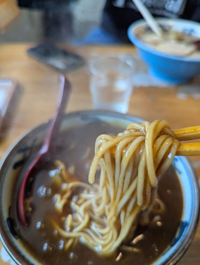 箸で持ち上げた、つややかな太麺のカレーそばのクローズアップ画像。湯気が出ており、とろみのあるスープが麺に絡んでいる様子がわかる。