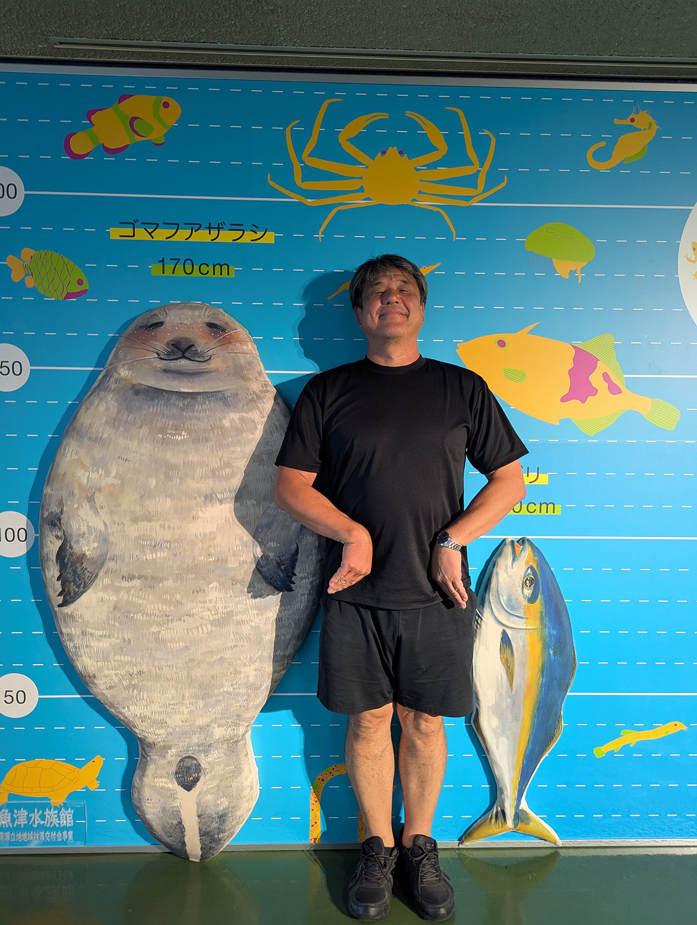 魚津水族館の生物サイズ比較パネルの前で記念撮影する黒いTシャツの男性。左側には等身大のゴマフアザラシのイラスト（約150cm）、右側にはブリのイラストが描かれている。背景には海の生き物のシルエットが並ぶ。