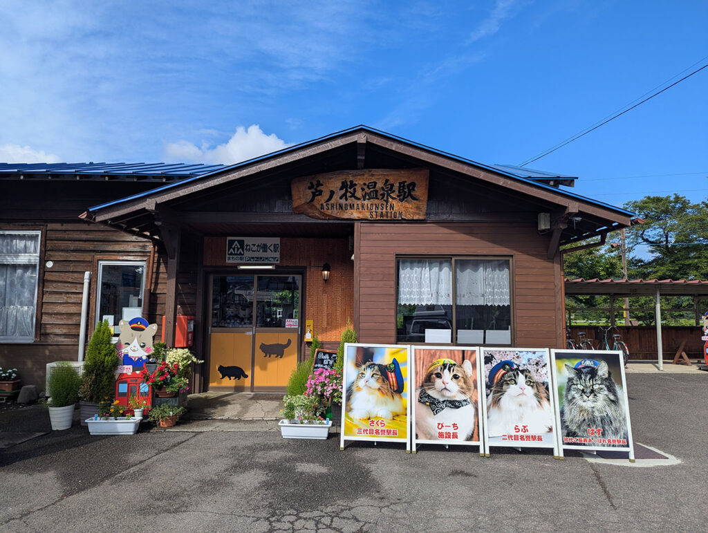 芦ノ湖温泉の猫の駅長