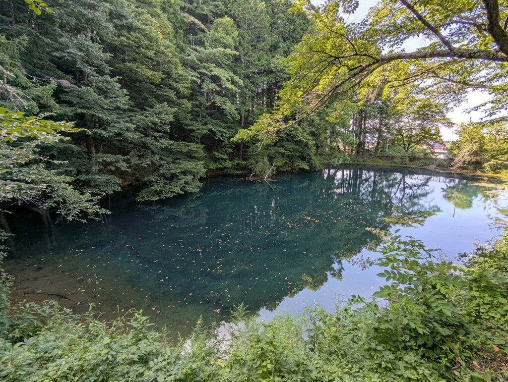 長野県塩尻市の平出の泉。森に囲まれた静かな湧水池で、青みがかった透明な水面が木々を映している。
